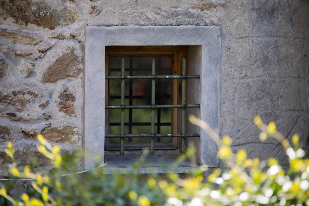 Вилла La Casa Di Sandra A Ноли Экстерьер фото
